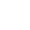 Adaptive Systems